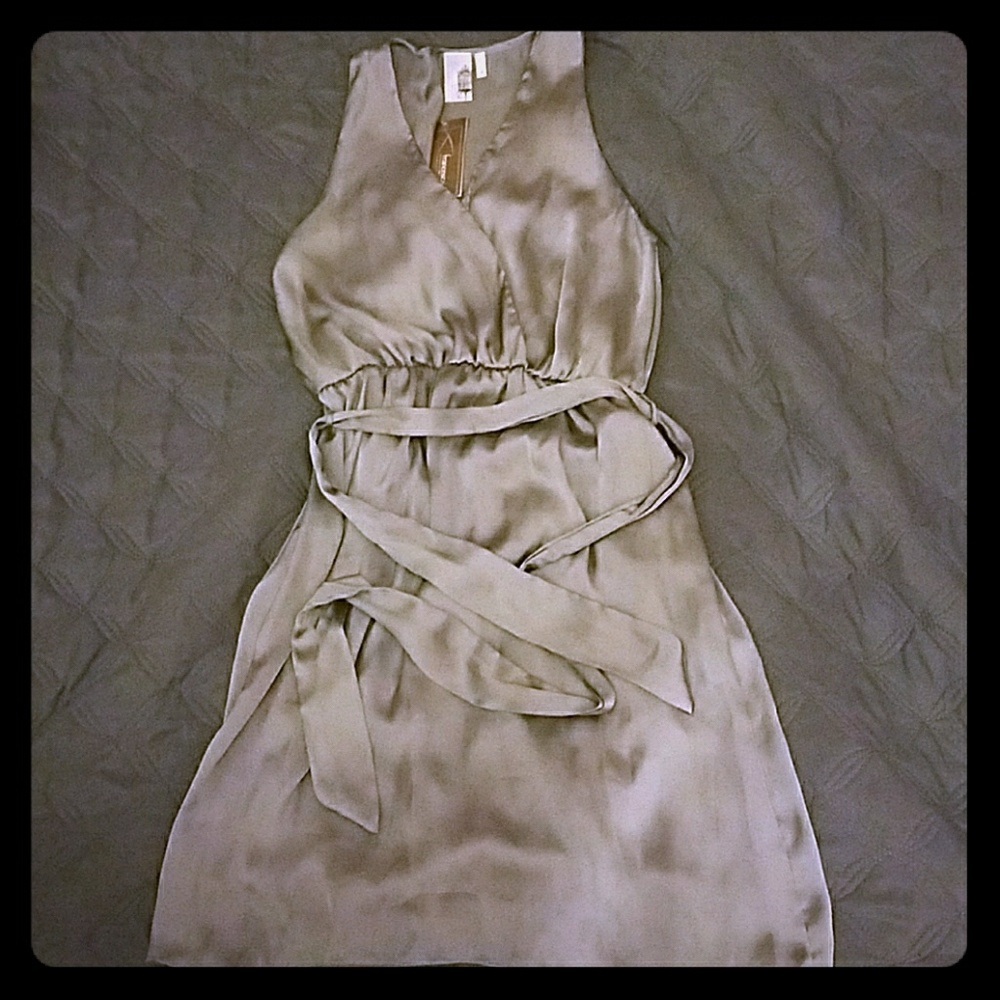 Lovely Silver Dress